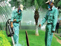 2013廣西第十二屆人大政協(xié)兩會接待用車消毒